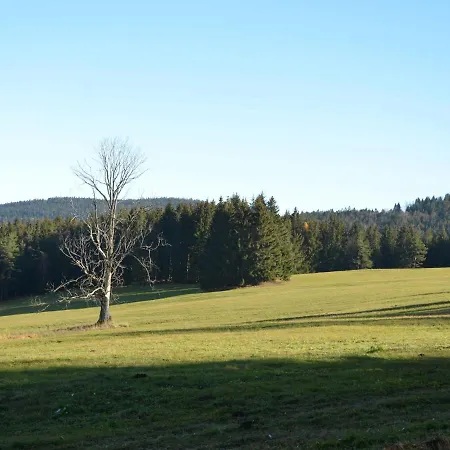 Quaint In Elezn Ruda Near Area *