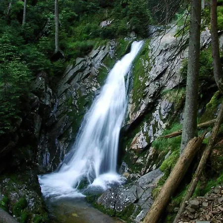 Nature Escape Casa de Férias *